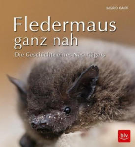 Fledermaus ganz nah - 2864203249