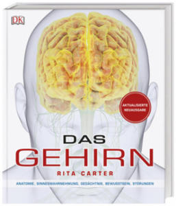 Das Gehirn - 2877401100