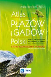 Atlas pazw i gadw Polski - 2877400955