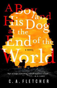 A Boy and His Dog at the End of the World - 2877975279