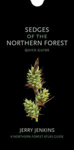 Sedges of the Northern Forest: Quick Guide - 2867359505