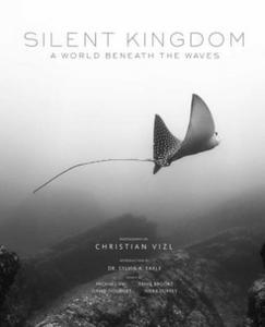 Silent Kingdom - 2872204036