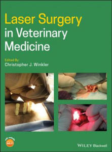 Laser Surgery in Veterinary Medicine - 2869333472