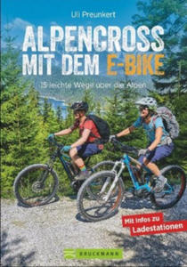 Alpencross mit dem E-Bike - 2877486773