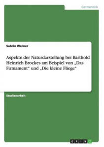 Aspekte der Naturdarstellung bei Barthold Heinrich Brockes am Beispiel von "Das Firmament und...