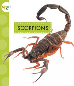 Scorpions - 2874000569