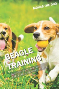 Beagle Training: All the Tips You Need for a Well-Trained Beagle - 2861961666