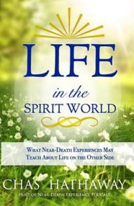 Life in the Spirit World: What Near-Death Experiences May Teach about Life on the Other Side - 2876934620