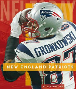 New England Patriots - 2873995463