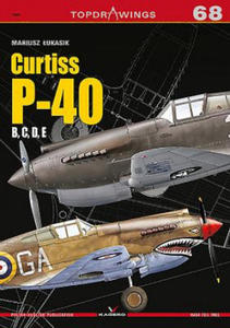 Curtiss P-40 B, C, D, E - 2873983001