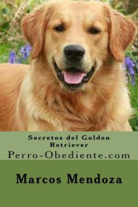 Secretos del Golden Retriever: Perro-Obediente.com - 2861954863