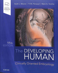 Developing Human - 2862005328
