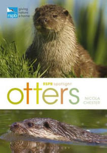 RSPB Spotlight: Otters - 2878877581