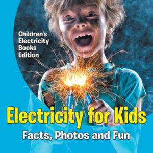 Electricity for Kids - 2878435483