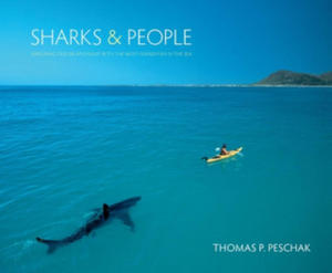 Sharks and People - 2876329668