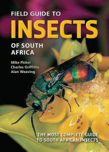 Field Guide to Insects of South Africa - 2877301051