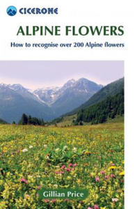 Alpine Flowers - 2870123479