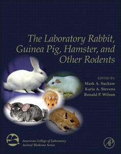 Laboratory Rabbit, Guinea Pig, Hamster, and Other Rodents - 2877770239