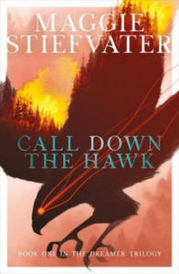 Call Down the Hawk: The Dreamer Trilogy #1 - 2861850398