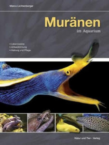 Murnen im Aquarium - 2877621407