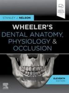 Wheeler's Dental Anatomy, Physiology and Occlusion - 2865812365