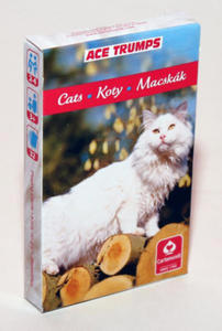 Animal Trumps Cats Karty do gry - 2877626627