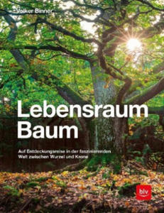 Lebensraum Baum - 2872205577