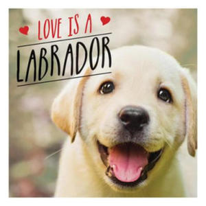 Love is a Labrador - 2869873224