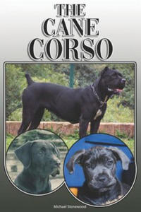 The Cane Corso: A Complete and Comprehensive Owners Guide To: Buying, Owning, Health, Grooming, Training, Obedience, Understanding and - 2866875615