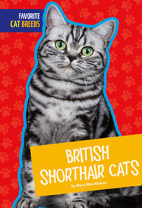 British Shorthair Cats - 2877500431