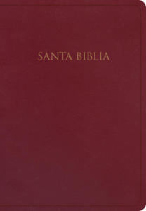 Rvr 1960 Biblia Para Regalos Y Premios, Borgo?a Imitacin Piel - 2876540476