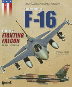 F-16 Volume 2: Fighting Falcon C F - 2873979560