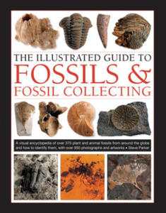 Fossils & Fossil Collecting, The Illustrated Guide to - 2876228822