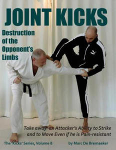 Joint Kicks: Destruction of the Opponent's Limbs - 2876031961