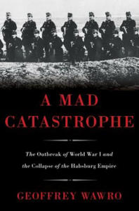 Mad Catastrophe - 2873988734