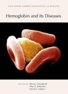 Hemoglobin and Its Diseases - 2870656637