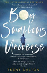 Boy Swallows Universe - 2877604186