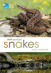 RSPB Spotlight Snakes - 2878782635