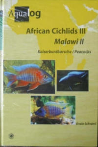 Aqualog African Cichlids III, Malawi II - Peacocks - 2877612004