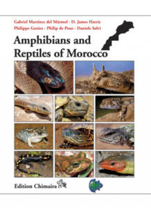 Amphibians and Reptiles of Morocco - 2877777029