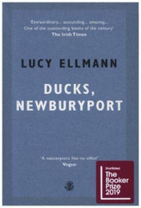 Ducks, Newburyport - 2872342745