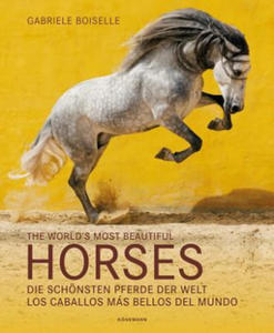 The World's Most Beautiful Horses / Die schnsten Pferde der Welt / Los caballos mas bellos del mundo - 2872886872