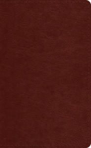 ESV Pocket Bible - 2862144931