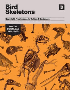 Bird Skeletons - 2866527998