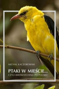 Ptaki w miecie czyli birdwatching po polsku - 2861917799