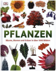 Pflanzen - 2872346380