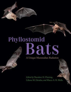 Phyllostomid Bats - 2864717409