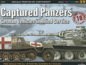 Captured Panzers - 2875675204