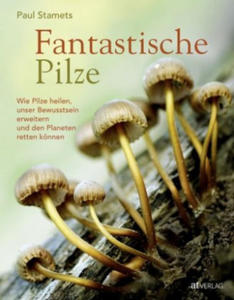 Fantastische Pilze - 2877765079