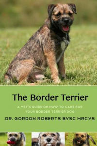 The Border Terrier: A vet's guide on how to care for your Border Terrier dog - 2865217958